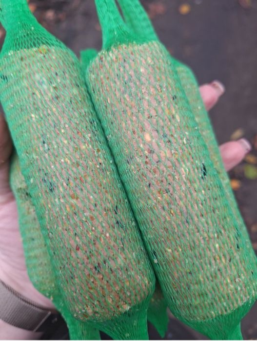 Kule tłuszczowe, kolby Danimo 100 szt. Pokarm do karmnika