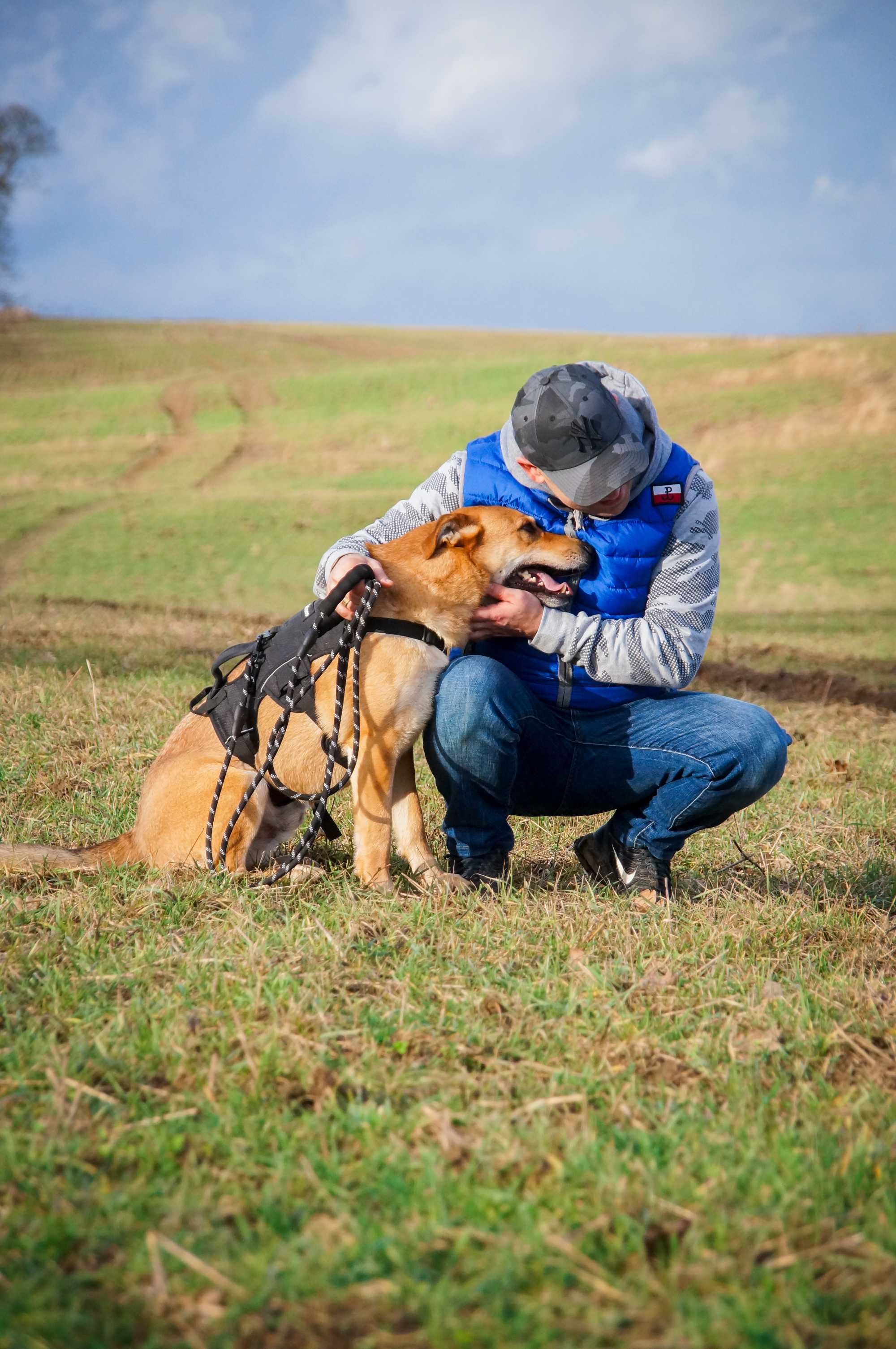 SKUBI - przyjazny i wesoły piesek do adopcji.