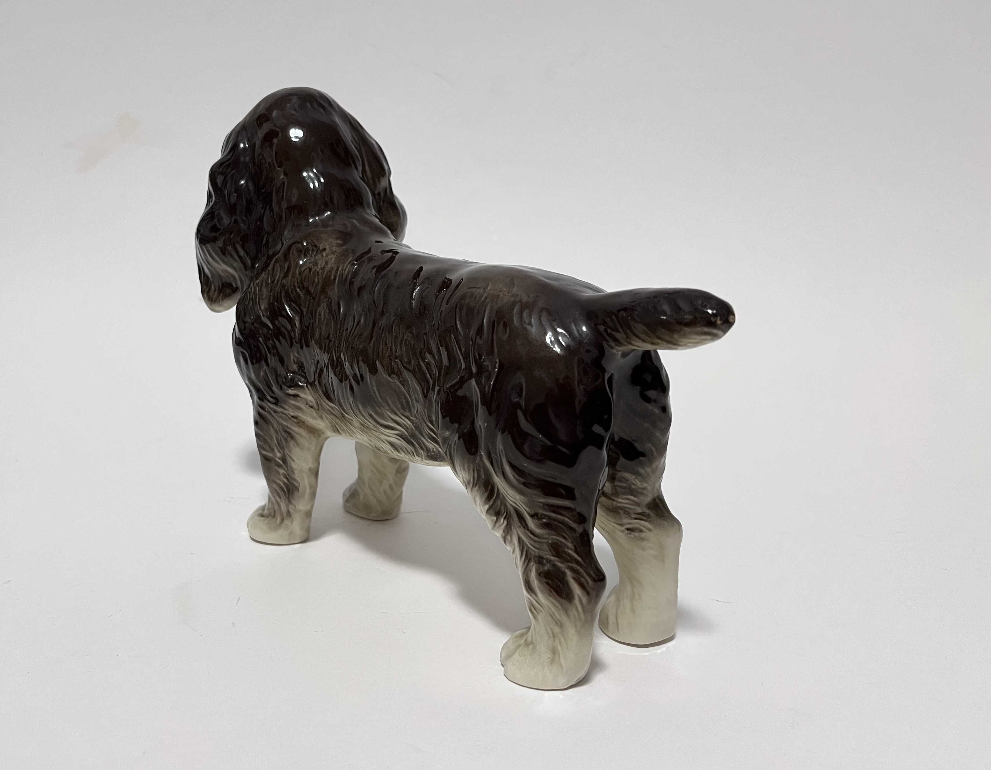 Porcelanowa figurka psa rasy Cocker Spaniel. Niemcy