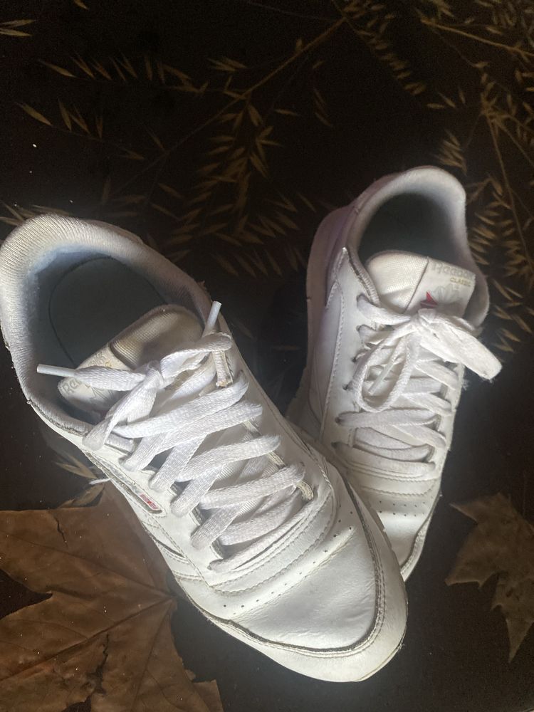 tenis Reebok Vlassic
