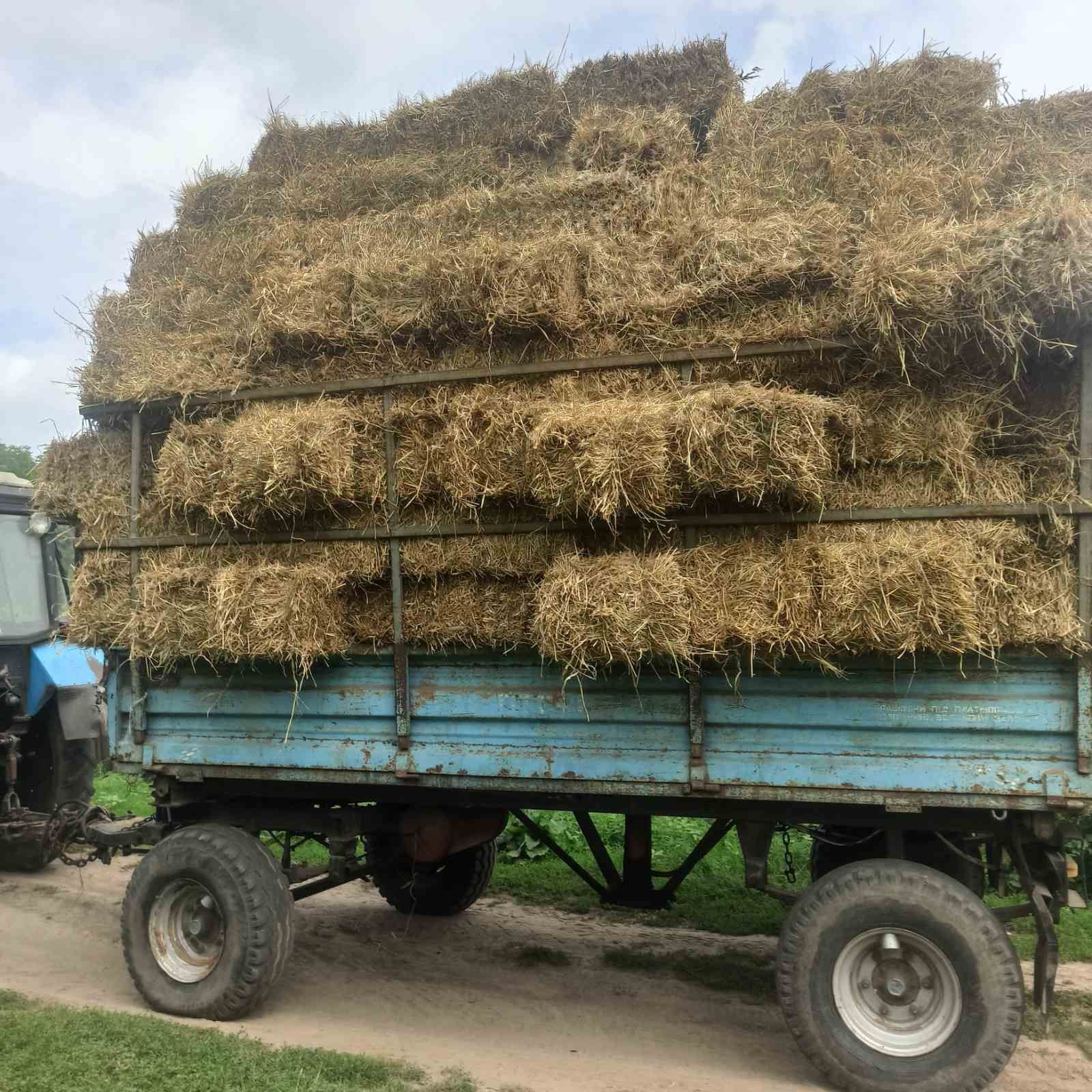 Сіно ! Лугове! Доставлю! Продам