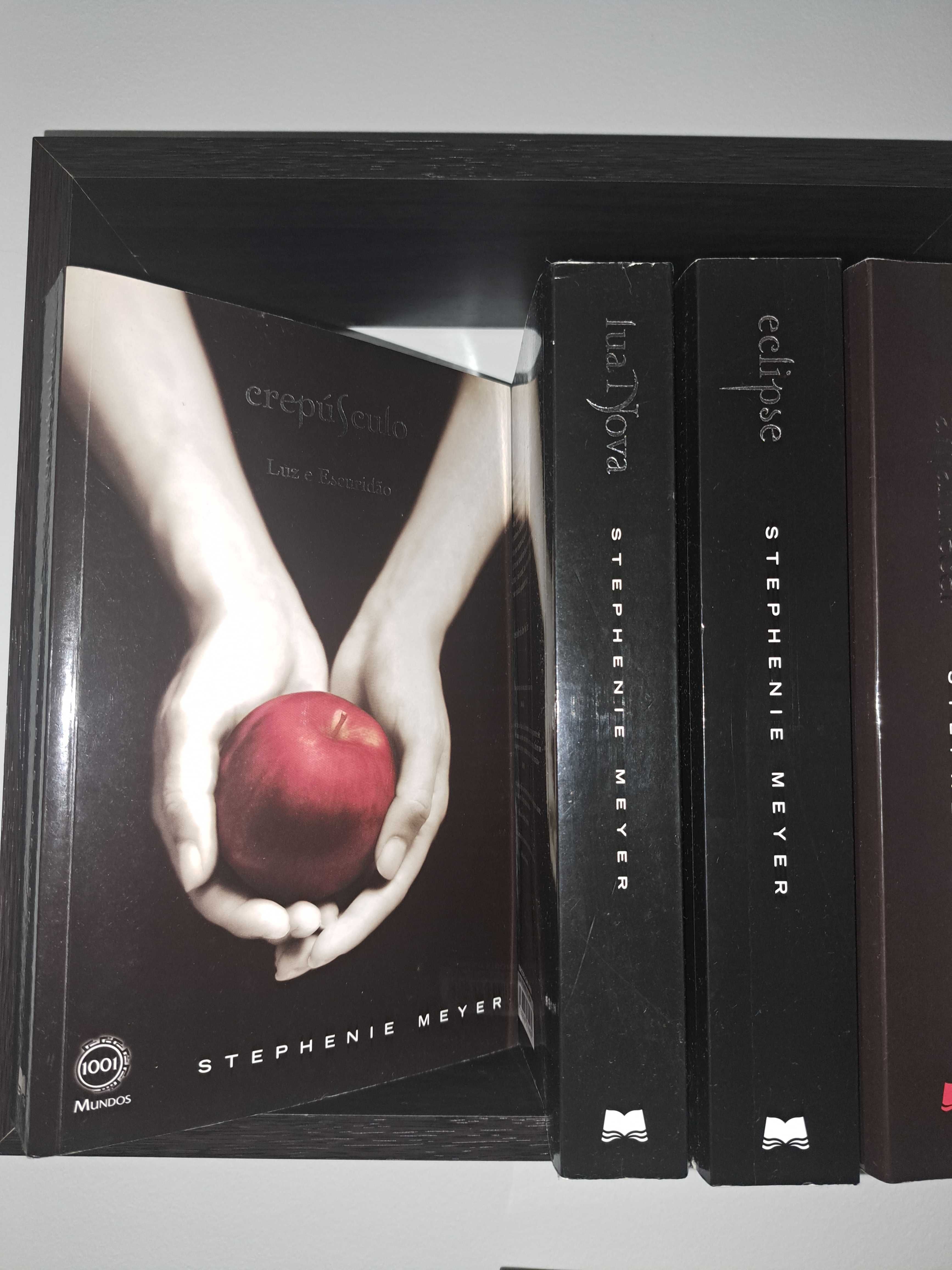 Livros da Saga Twilight de Stephanie  Meyer