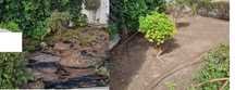 Serviços de jardinagem