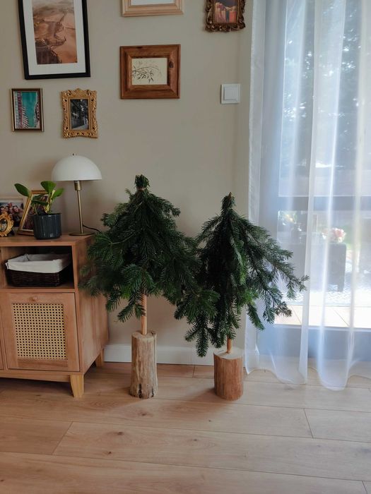 Żywe choinki z gałązek świerku z pieńkiem