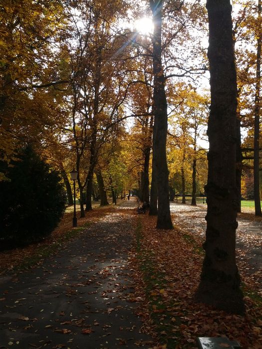 Reflexologista masculino