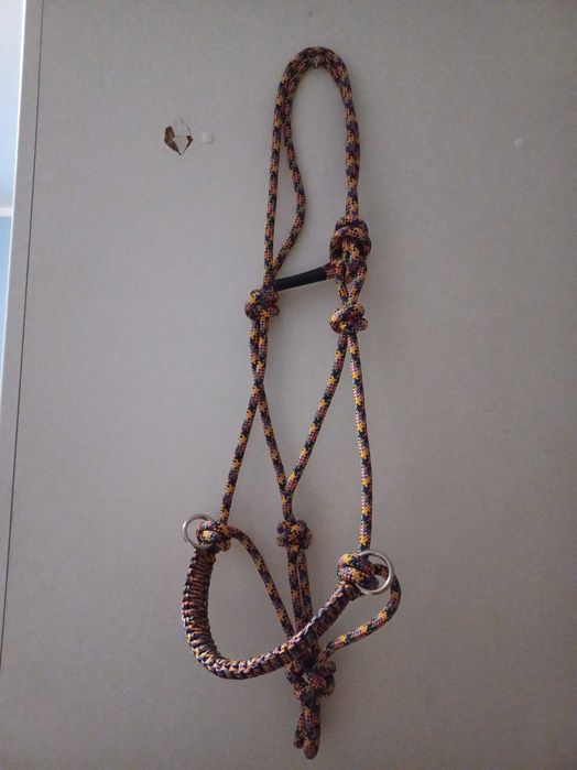 Kolorowy halter do jazdy cob