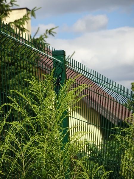 Słupek ogrodzeniowy 60x40x1,3mm 200cm lakierowany ogrodzenie panelowe