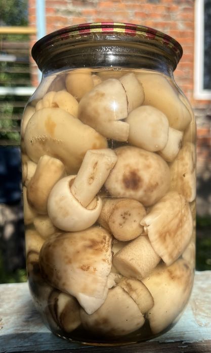 Літні гриби мариновані