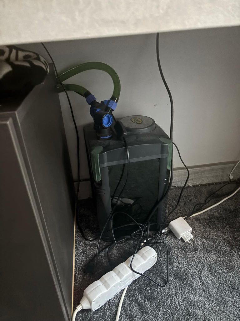 Akwarium z rybkami i wyposażeniem