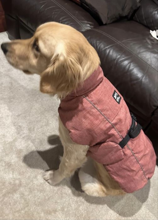 Capa impermeavel para cao