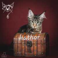 Hathor, Hathor, Hathor...