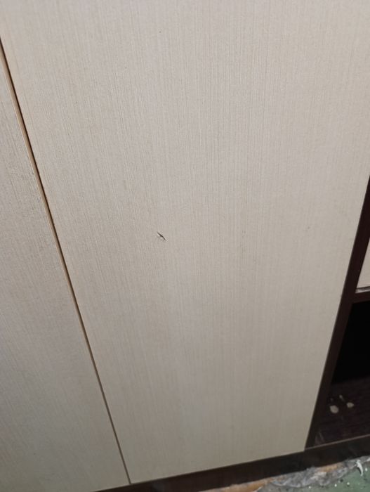 Мебель для прихожей