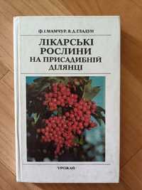 Лікарські рослини на присадибній ділянці