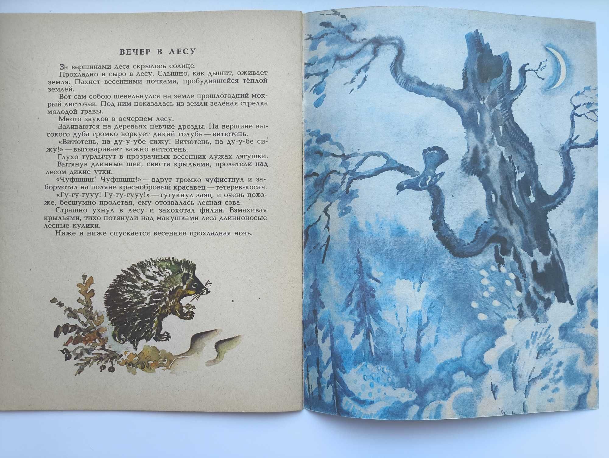 Весна в лесу. И. Соколов-Микитов.