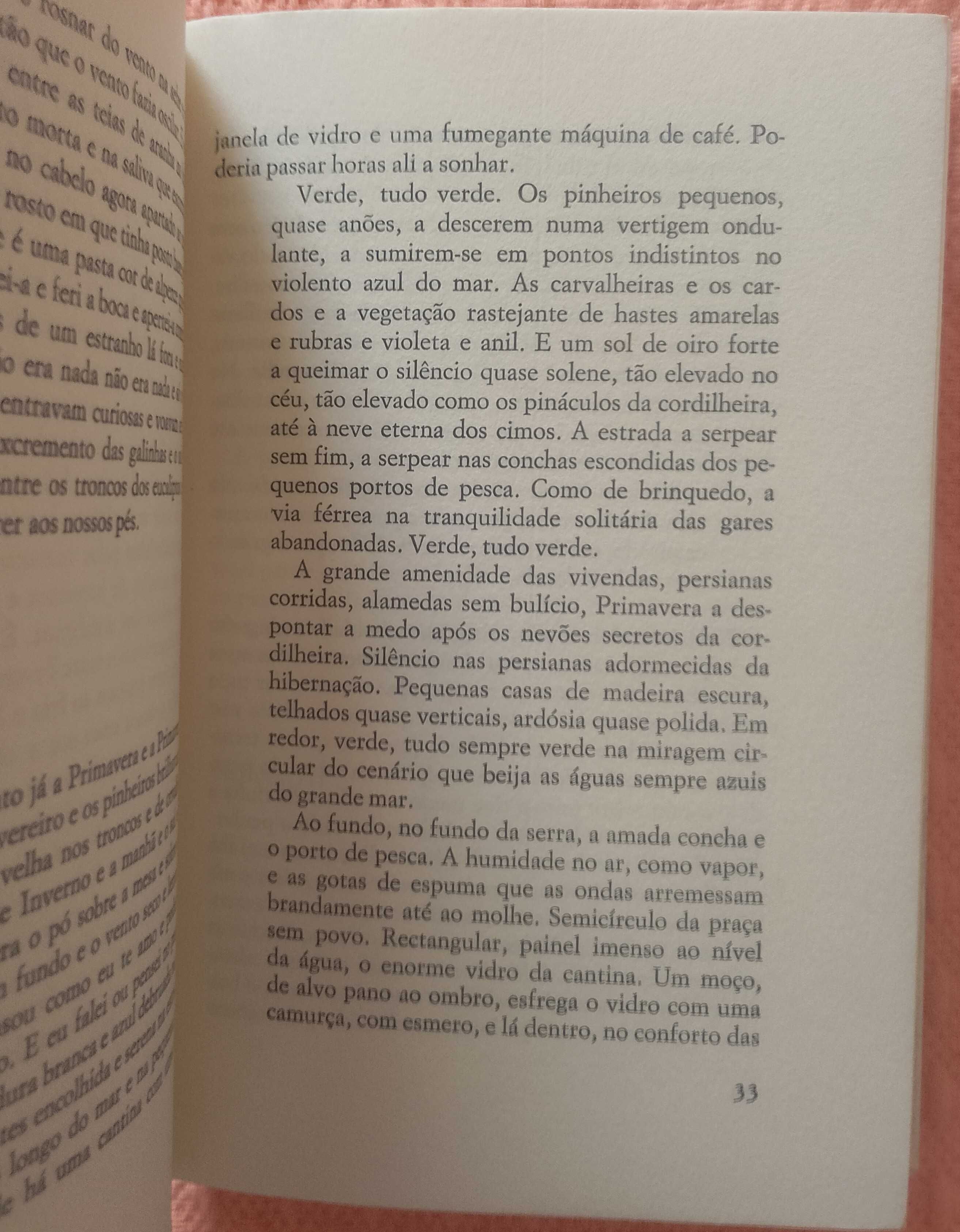 As novelas, João Palma-Ferreira