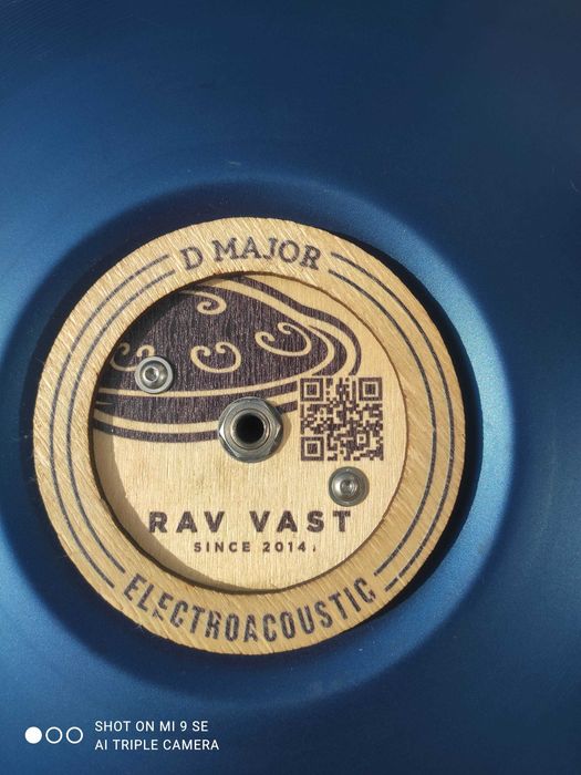 Rav Vast Electroacutic D Major,handpan ,hang drum