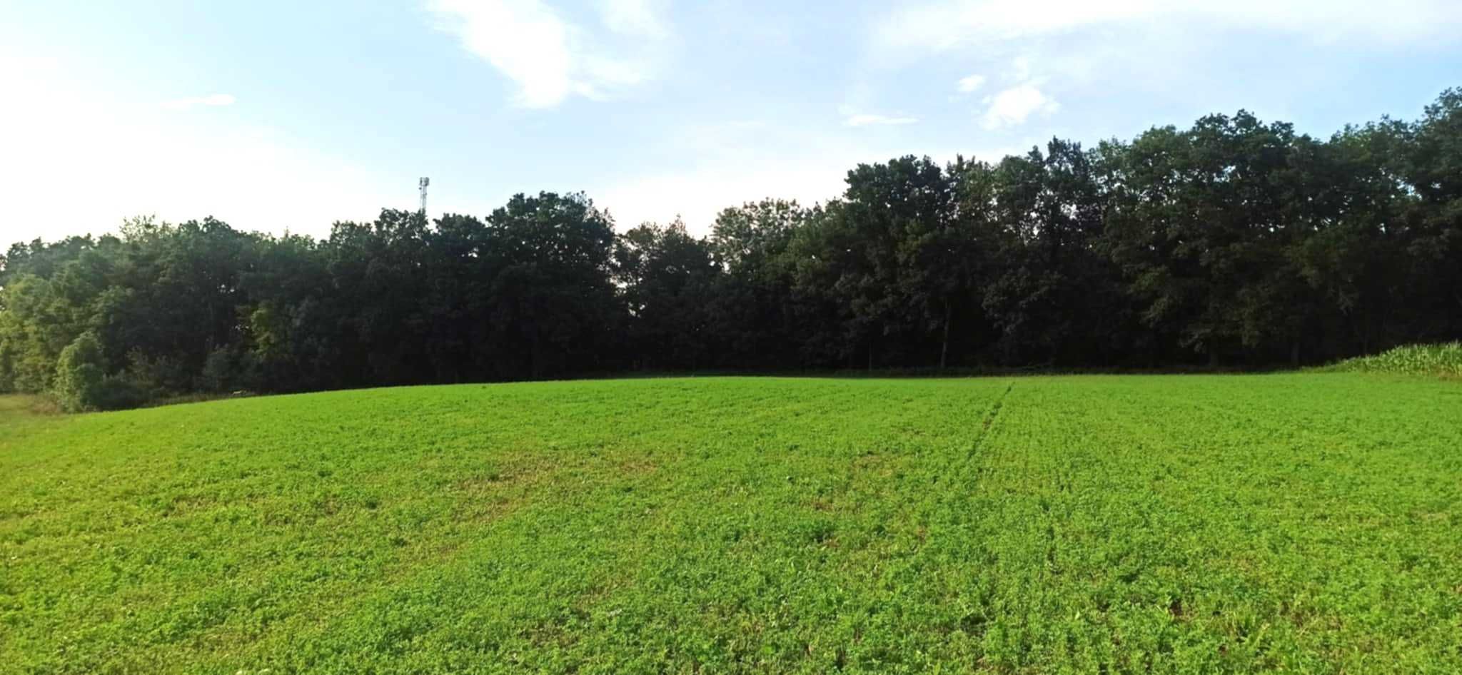 Działka w Zamku Bierzgłowskim 1,46 ha