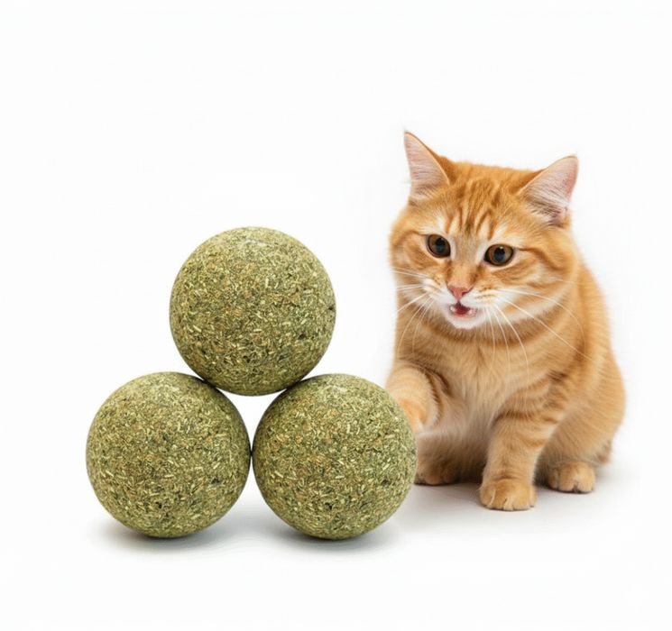 Kocimiętka piłka dla kota zabawka kulka piłeczka 3szt