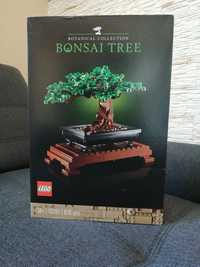 Bonsai Tree Drzewo