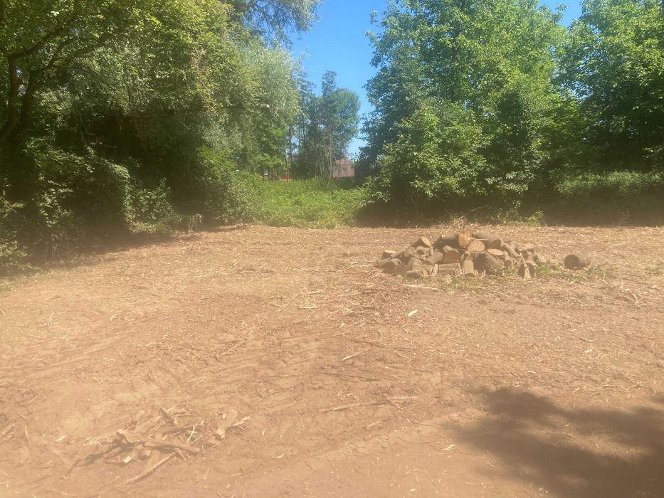 mulczowanie, mulczer leśny, Karczowanie, wycinka, czyszczenie działek