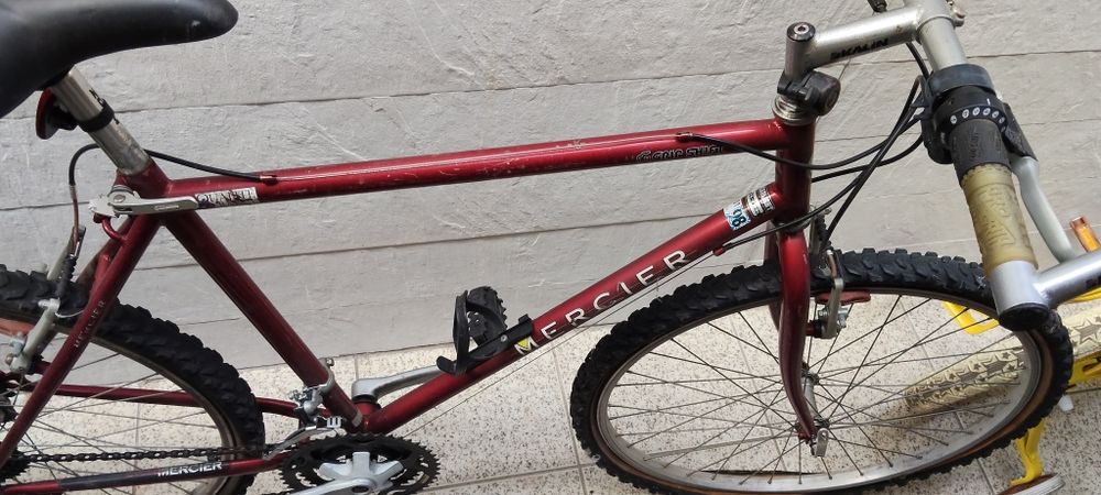 Bicicletas para adulto