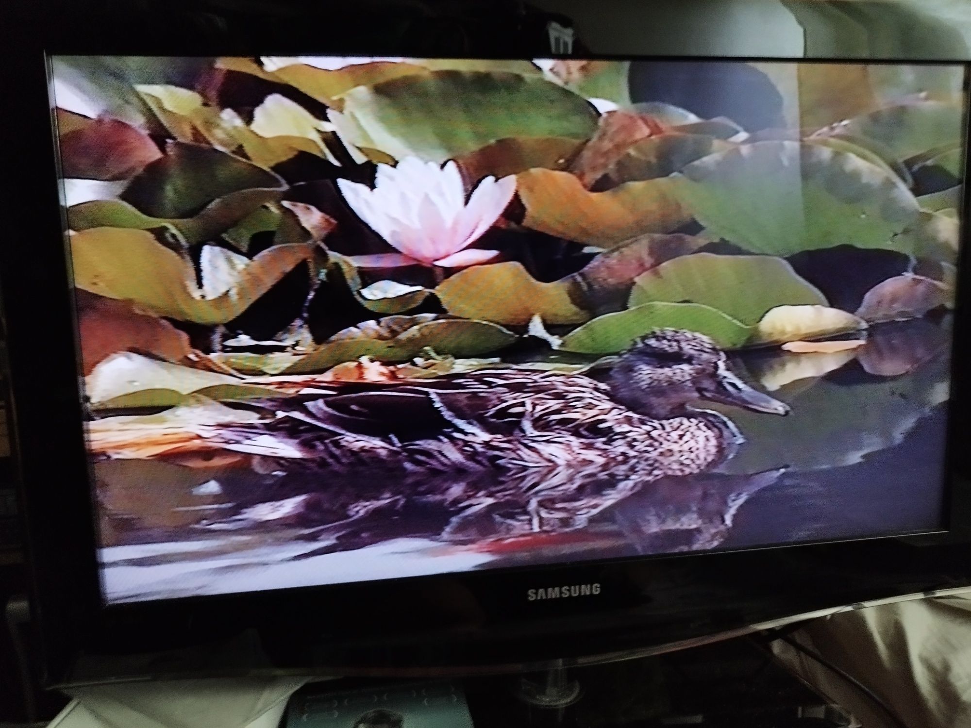 Wideo VHS Samsung
