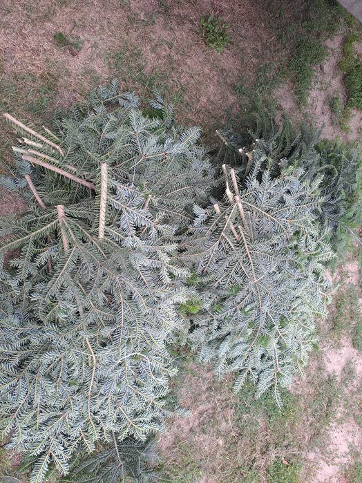 Stelaż Sztaluga    podkłady pod wieniec pogrzebowy