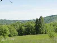 Działka bud-rol 1100 m2 Doły