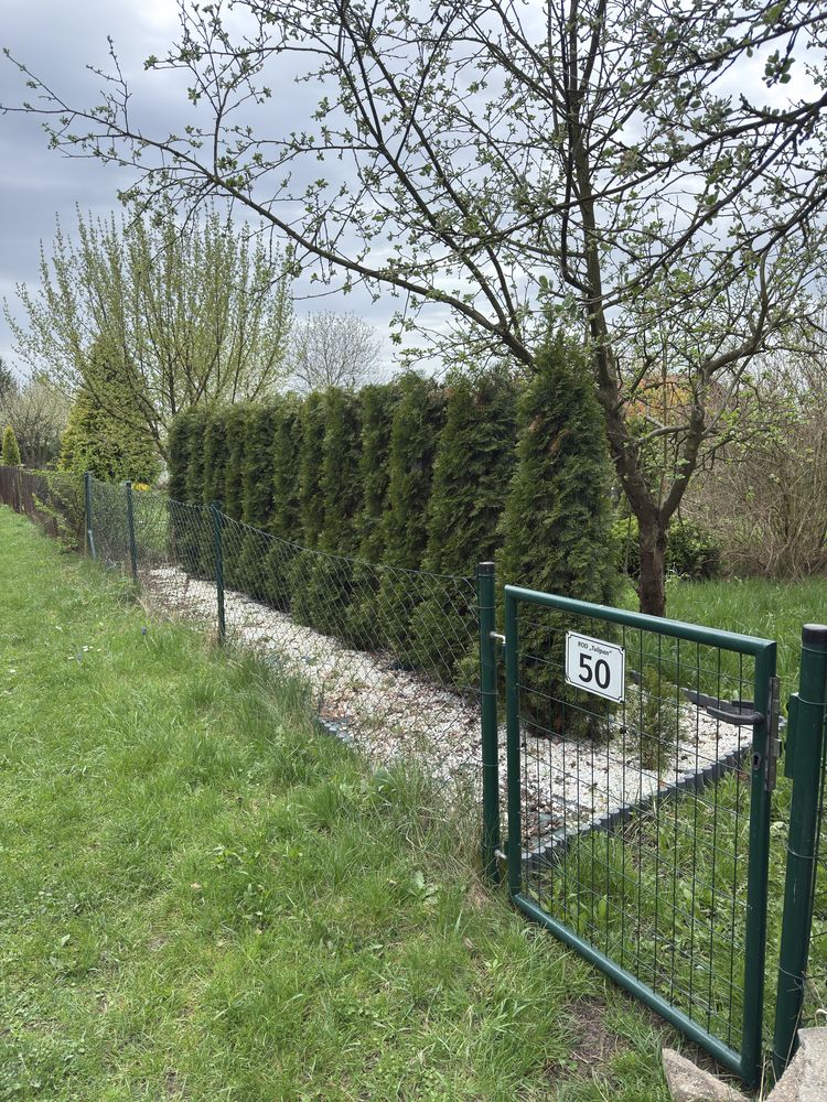 Działka na ROD „Tulipan” w radomsku