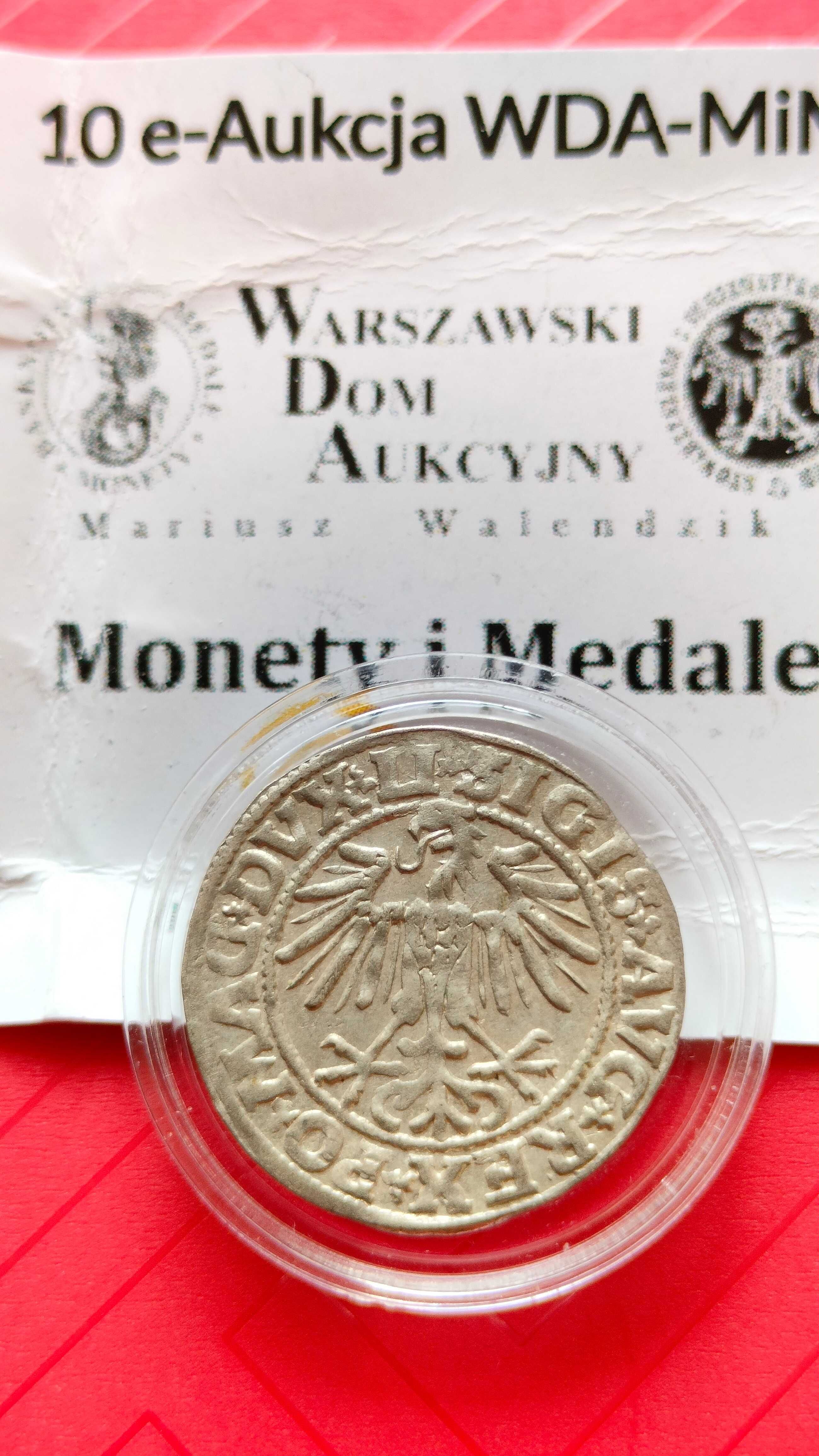 Moneta Półgrosz 1549, Polska Królewska