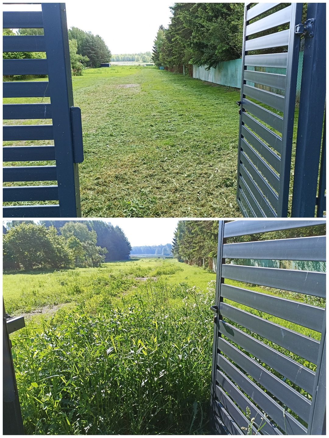 Pielęgnacja ogrodu - renowacja trawnika, wycinka drzew, karczowanie