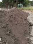 Composto Orgânico (Substrato)