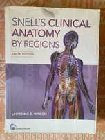 Clinical Anatomy