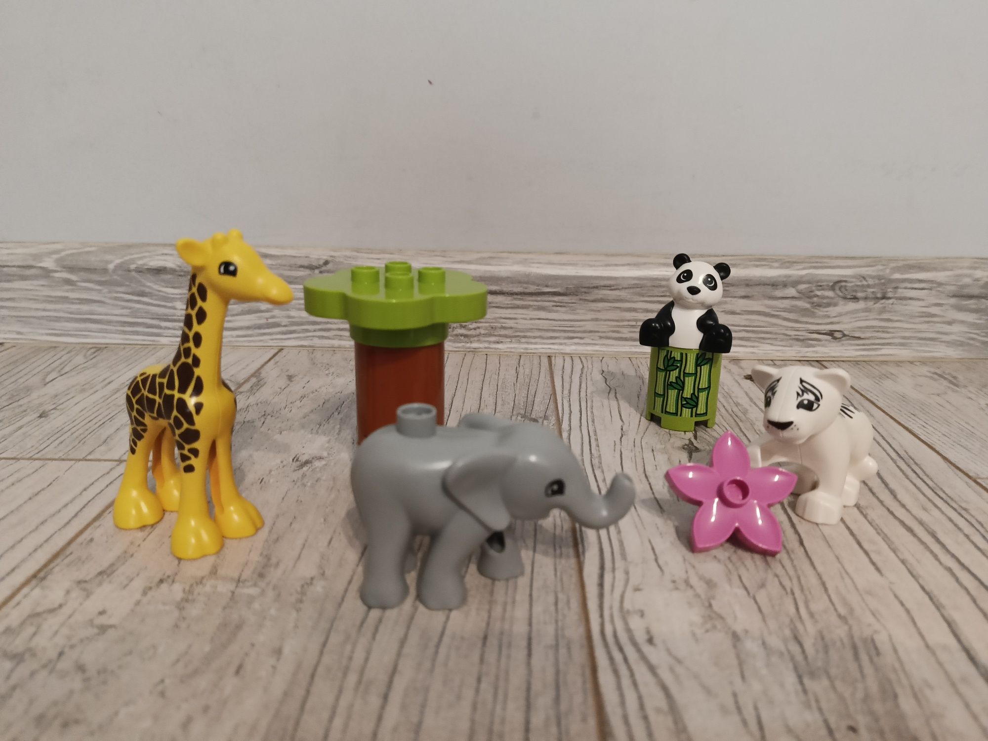 Zestaw LEGO Duplo 10904 małe zwierzątka
