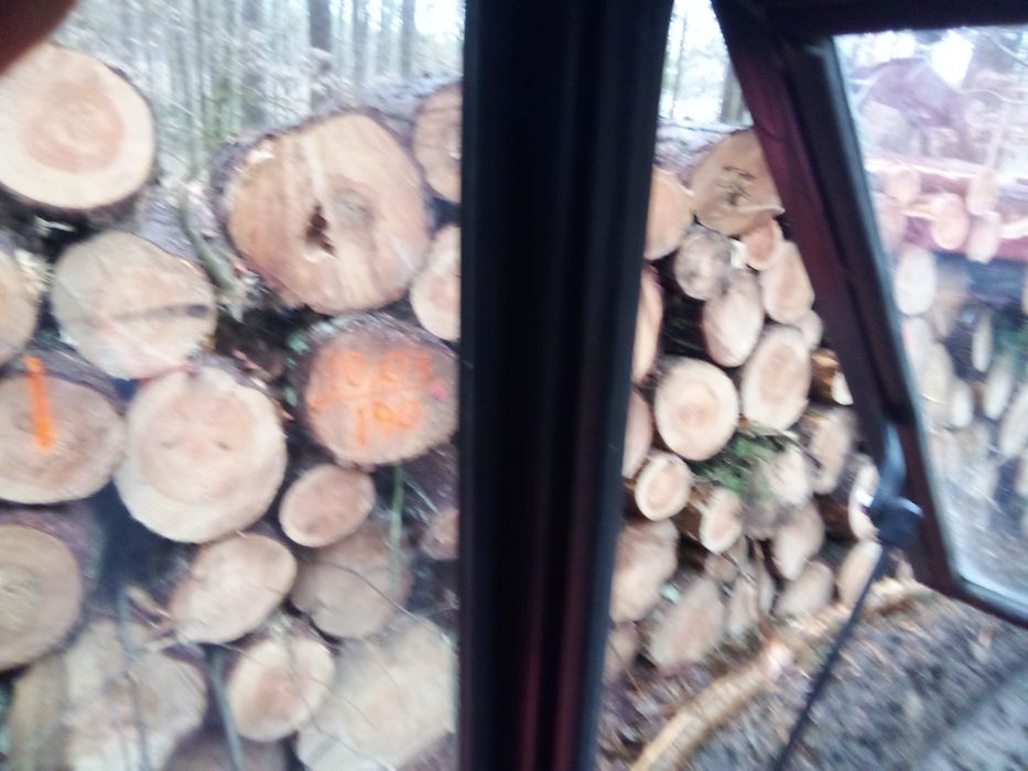 Drewno kominkowo-opałowe