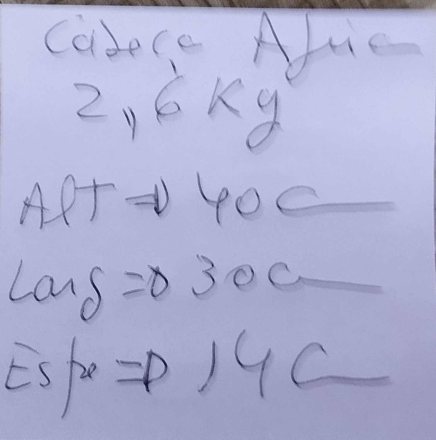 Cabeça de águia para parede