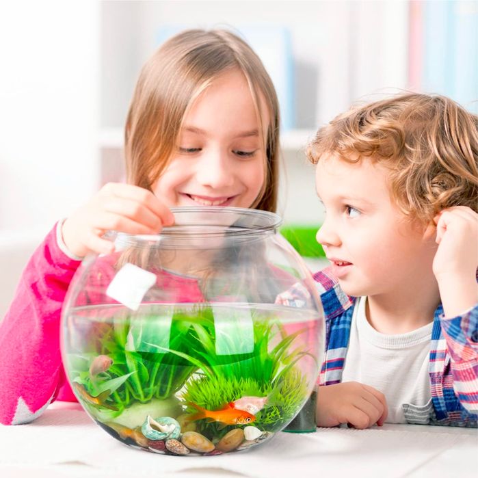 Akwarium w kształcie kuli