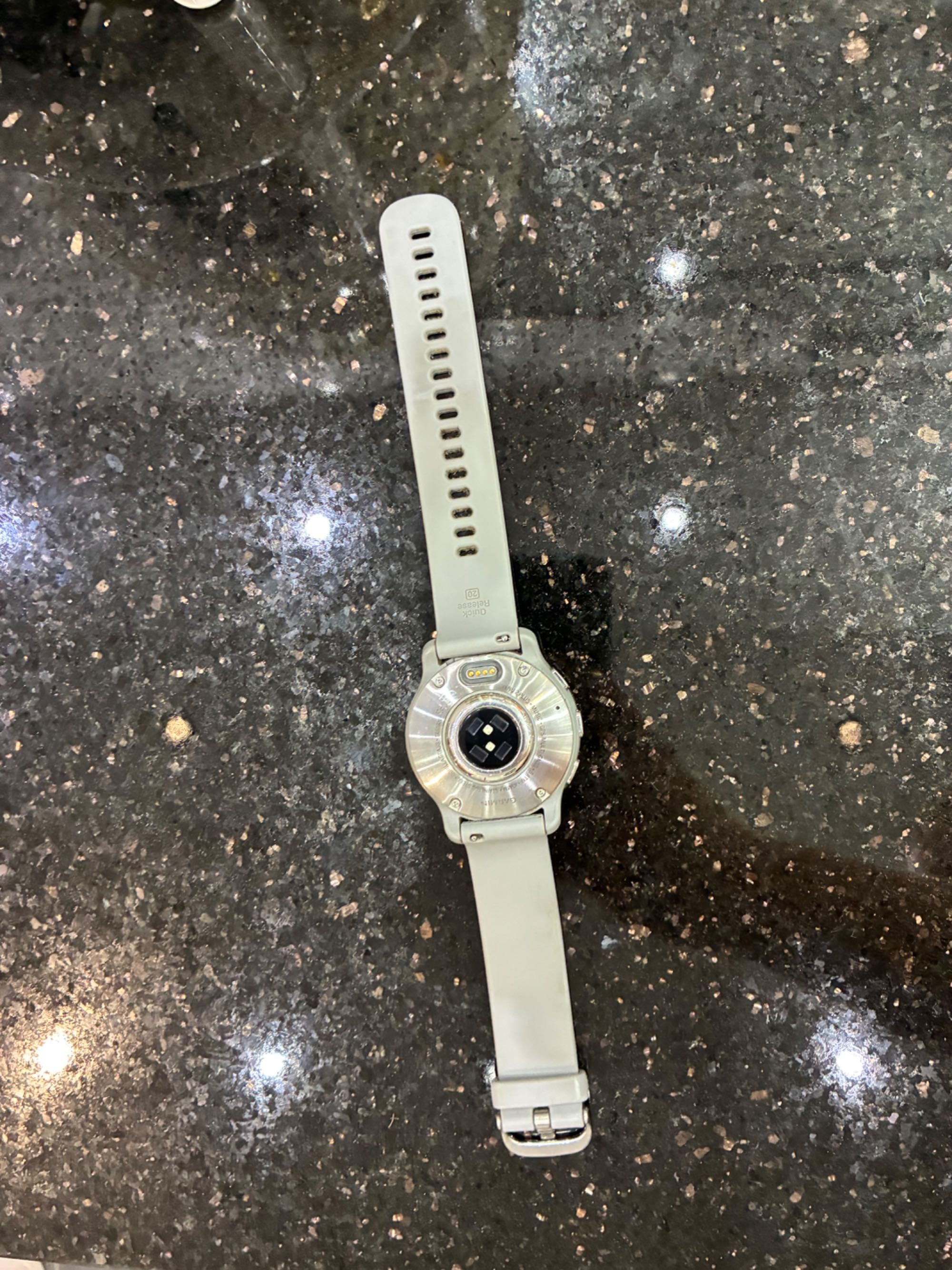 Garmin Venu 2 Plus