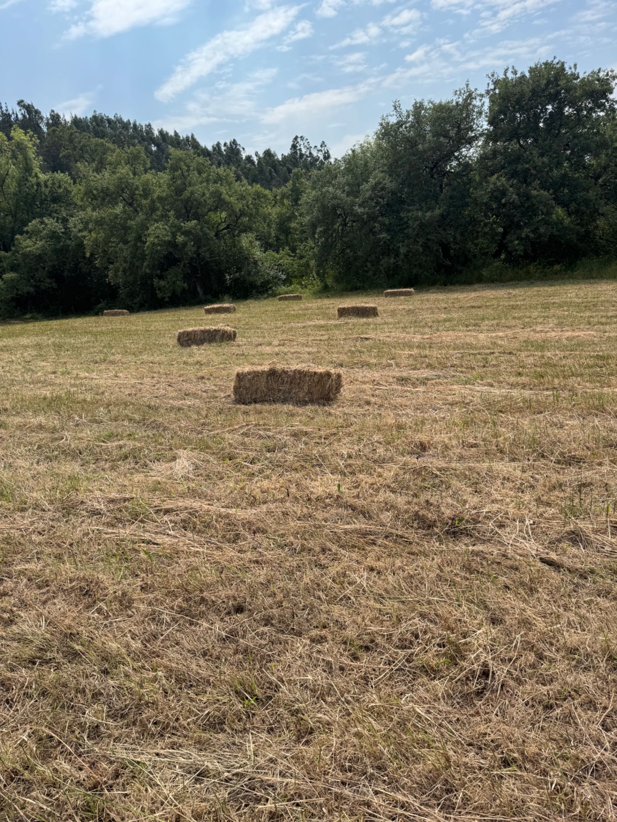 Vendo Fardos de palha