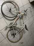 Bicicleta orbita