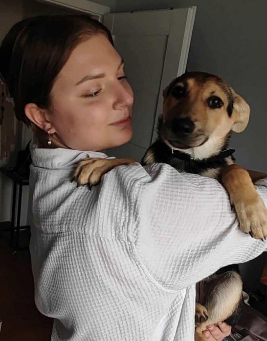 Zadbana i cudowna sunia ,szczeniak,szuka domu.