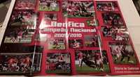 Poster S L Benfica Campeão Nacional 2009/2010