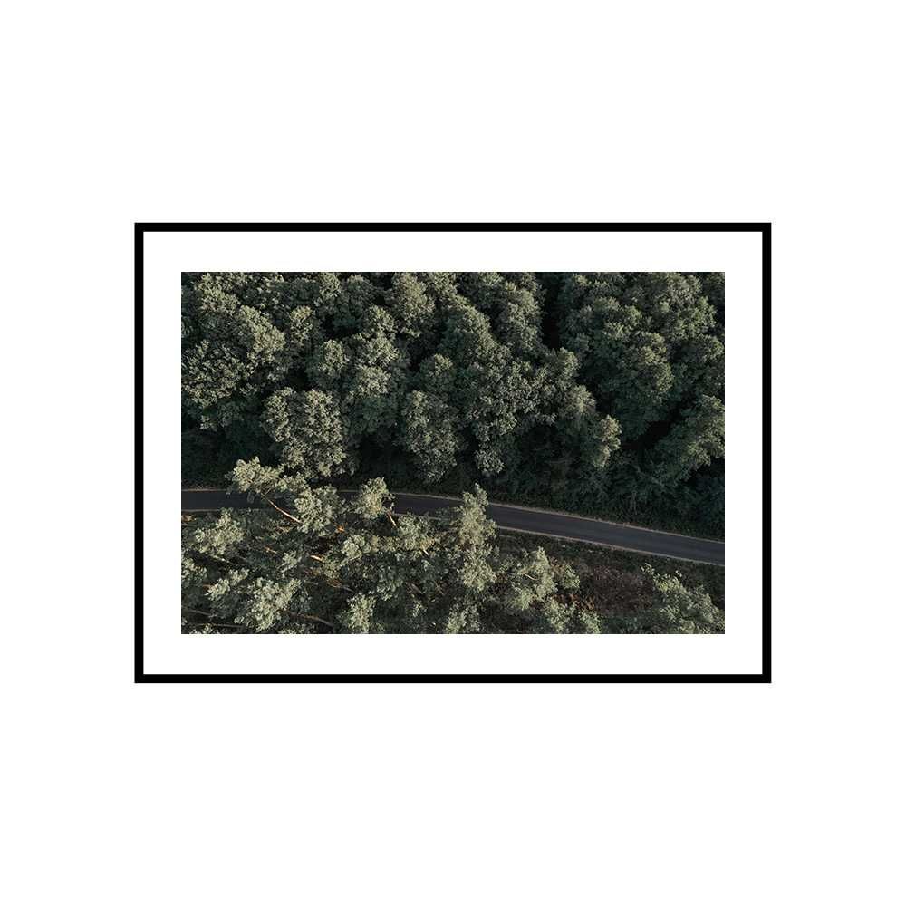 Plakat obraz zdjęcie format A3 30x40 cm las drzewa góry