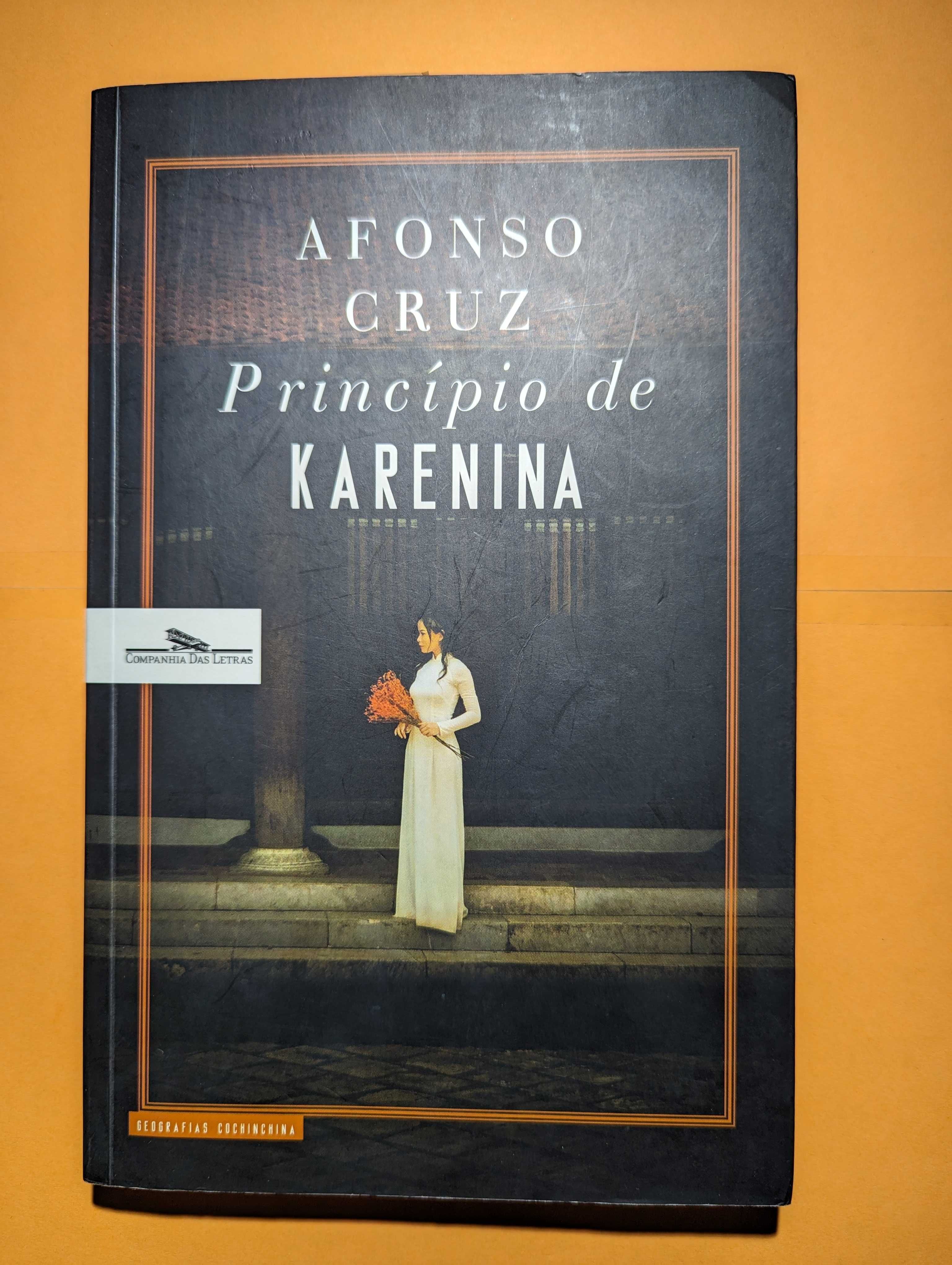 Princípio de KARENINA - Afonso Cruz