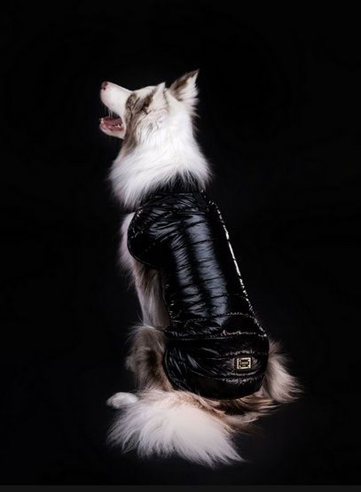 Wodoodporna ciepła kurteczka dla psa Chaba Kubrak Dopamine 3XL czarny