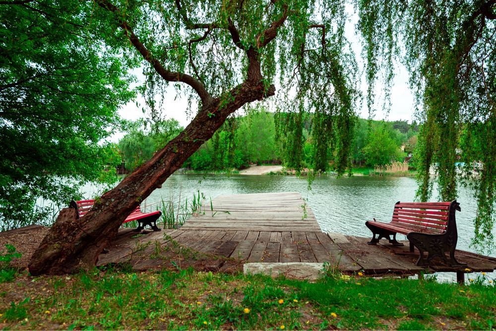 Продам готовый бизнес на берегу Северского Донца, Коробовы Хутора