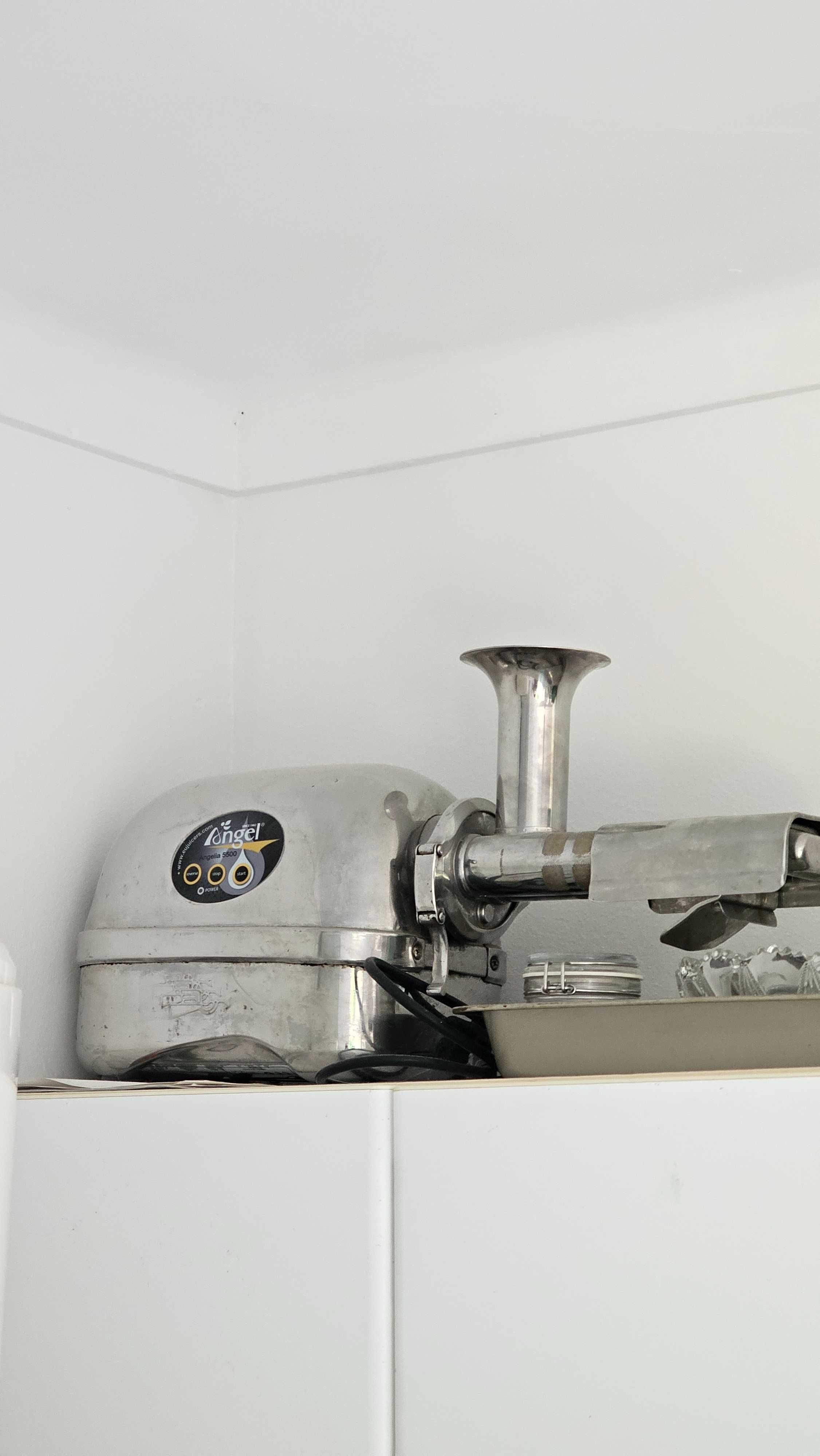 Cold Press Juicer Angel