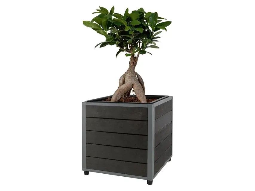 Кашпо, горщик, вазон для рослин PARKSIDE, 10 л,