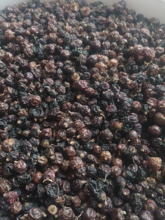 Сушена чорна смородина урожай 2025