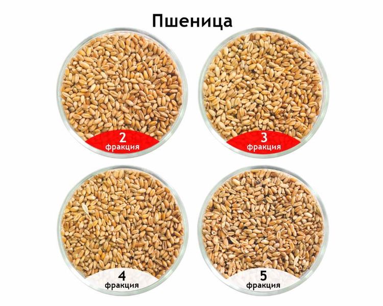 Сепаратор аеродинамічний САД-30 з циклоном, для очистки зерна АЕРОМЕХ